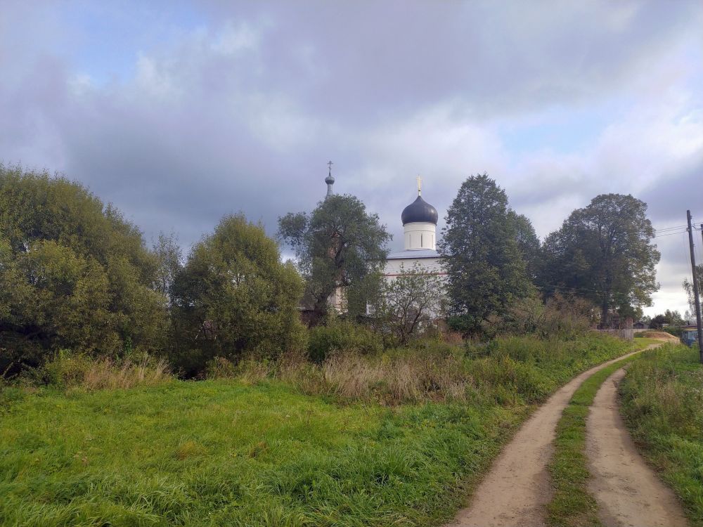Медведева Богородице-Рождественская пустынь (подворье Николо-Пешношского монастыря), Пустынь (Дмитровский городской округ, Московская область). общий вид в ландшафте