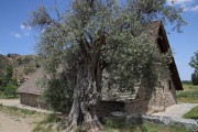 Церковь Панагия Подиту, , Галата, Никосия, Кипр