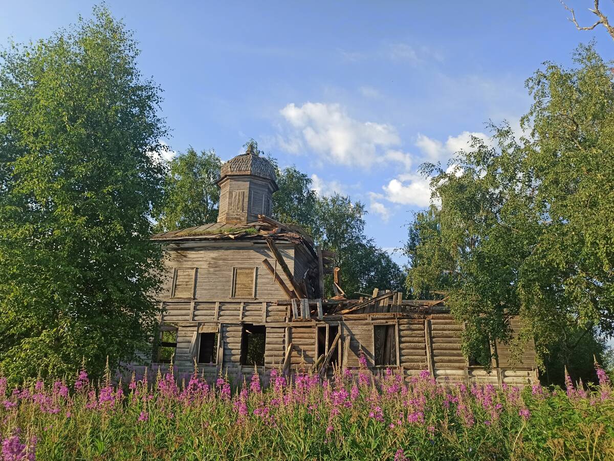 Церковь Николая Чудотворца, Кочигино (Тимоневская) (Вельский район, Архангельская область). общий вид в ландшафте, Колокольни упала. Купол был на месте. Близко подойти не получилось. Бурьян с крапивой плотной стеной. 