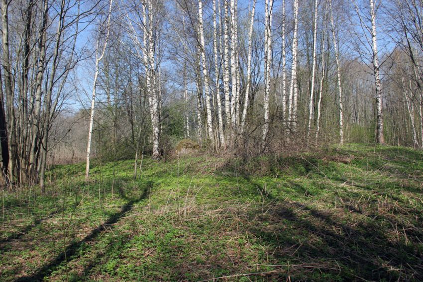 Церковь Рождества Пресвятой Богородицы, Назаретская пустынь (Некрасовский район, Ярославская область). дополнительная информация, Место пустыни