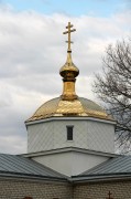 Церковь Михаила Архангела, купол<br>, Бутырки, Репьёвский район, Воронежская область