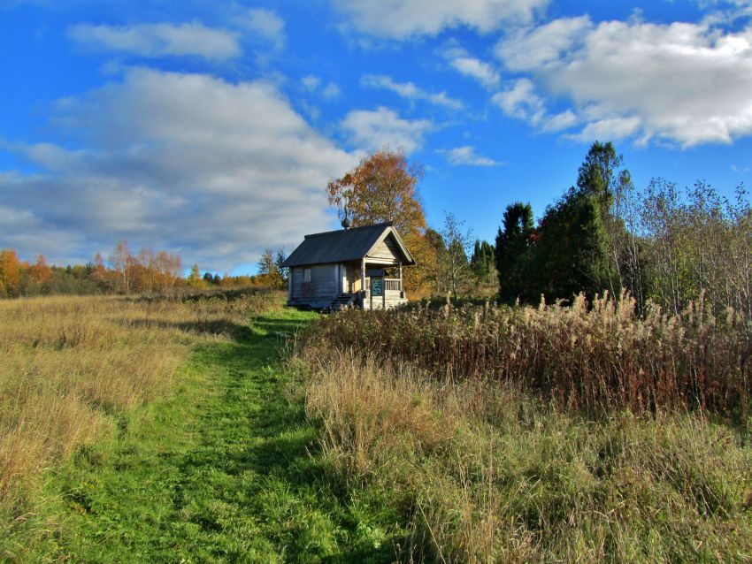Часовня Власия, епископа Севастийского, Медвежий остров (д. Медвежье) (Плесецкий район, Архангельская область). фасады, вид с северо-запада