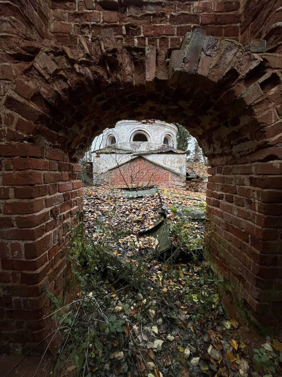 Церковь Вознесения Господня, Кнутово (Кирилловский район, Вологодская область). архитектурные детали, Вид на купол храма с колокольни. Деревянная лестница на саму колокольню сохранилась, однако, местами образовались провалы в полу на втором ярусе.