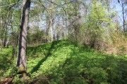 Церковь Воскресения Христова, , Перепелицыно, урочище, Нерехтский район, Костромская область