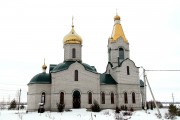 Церковь Трех Святителей, , Воля, Новоусманский район, Воронежская область