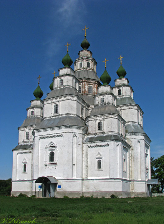 Церковь Покрова Пресвятой Богородицы, Плешивец (Миргородский район, Украина, Полтавская область). фасады, Вид на храм с юго-запада