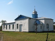 Церковь Вознесения Господня, , Бобрик, Миргородский район, Украина, Полтавская область