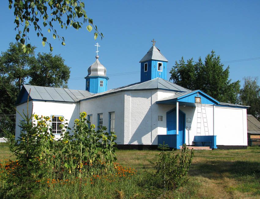 Церковь Вознесения Господня, Бобрик (Миргородский район, Украина, Полтавская область). общий вид в ландшафте