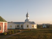 Церковь Троицы Живоначальной, , Луховицы, Луховицкий городской округ, Московская область