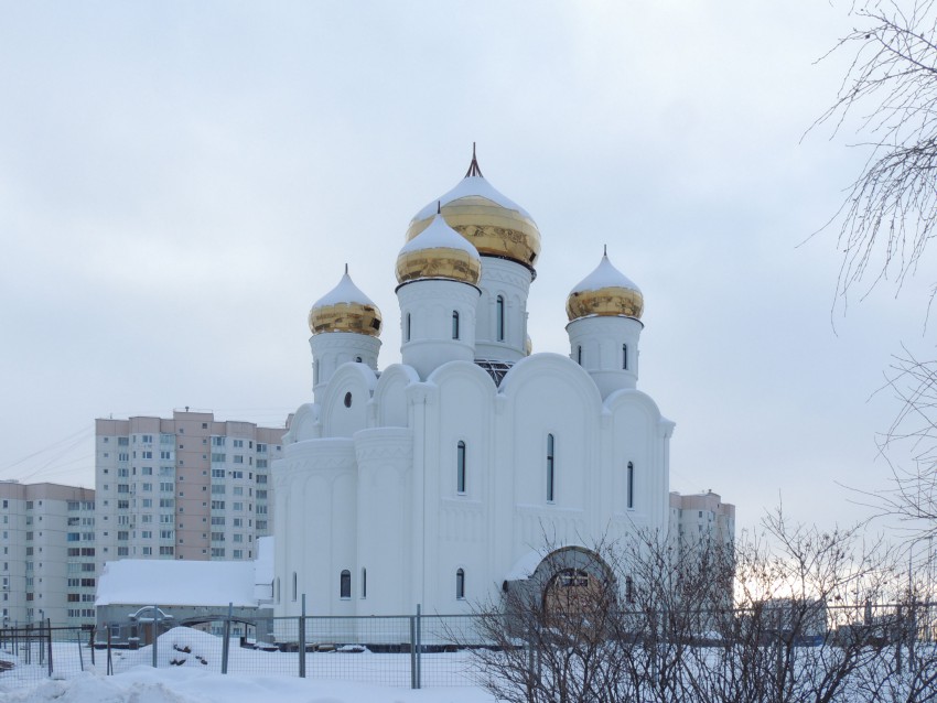 Южное Бутово. Церковь Стефана Пермского в Южном Бутове. общий вид в ландшафте