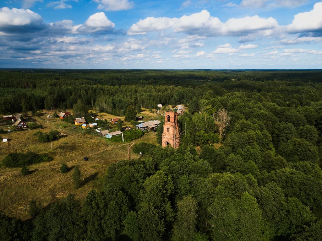 Церковь Параскевы Пятницы, Шеенки (Шеянки, Шеинки) (Клепиковский район, Рязанская область). общий вид в ландшафте