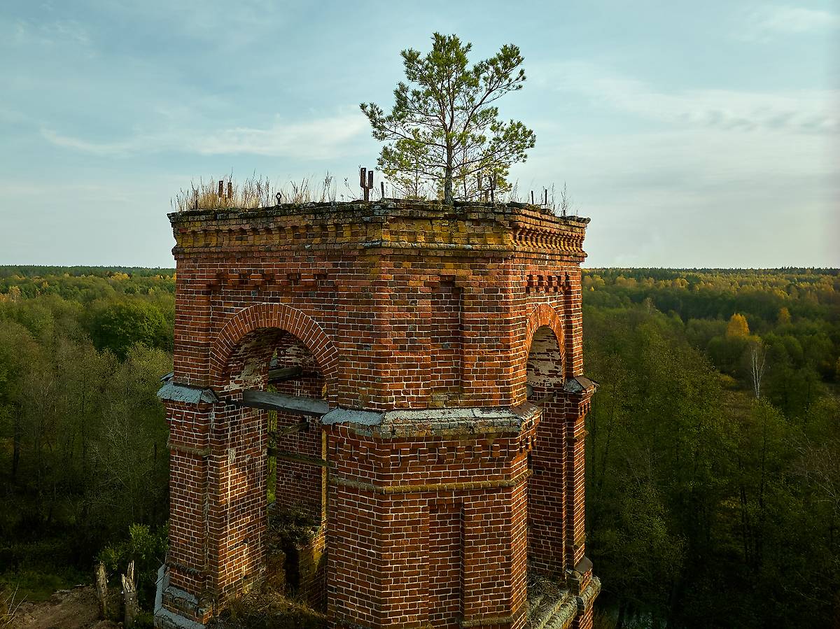 архитектурные детали. Церковь Параскевы Пятницы, Шеенки (Шеянки, Шеинки) (Клепиковский район, Рязанская область)