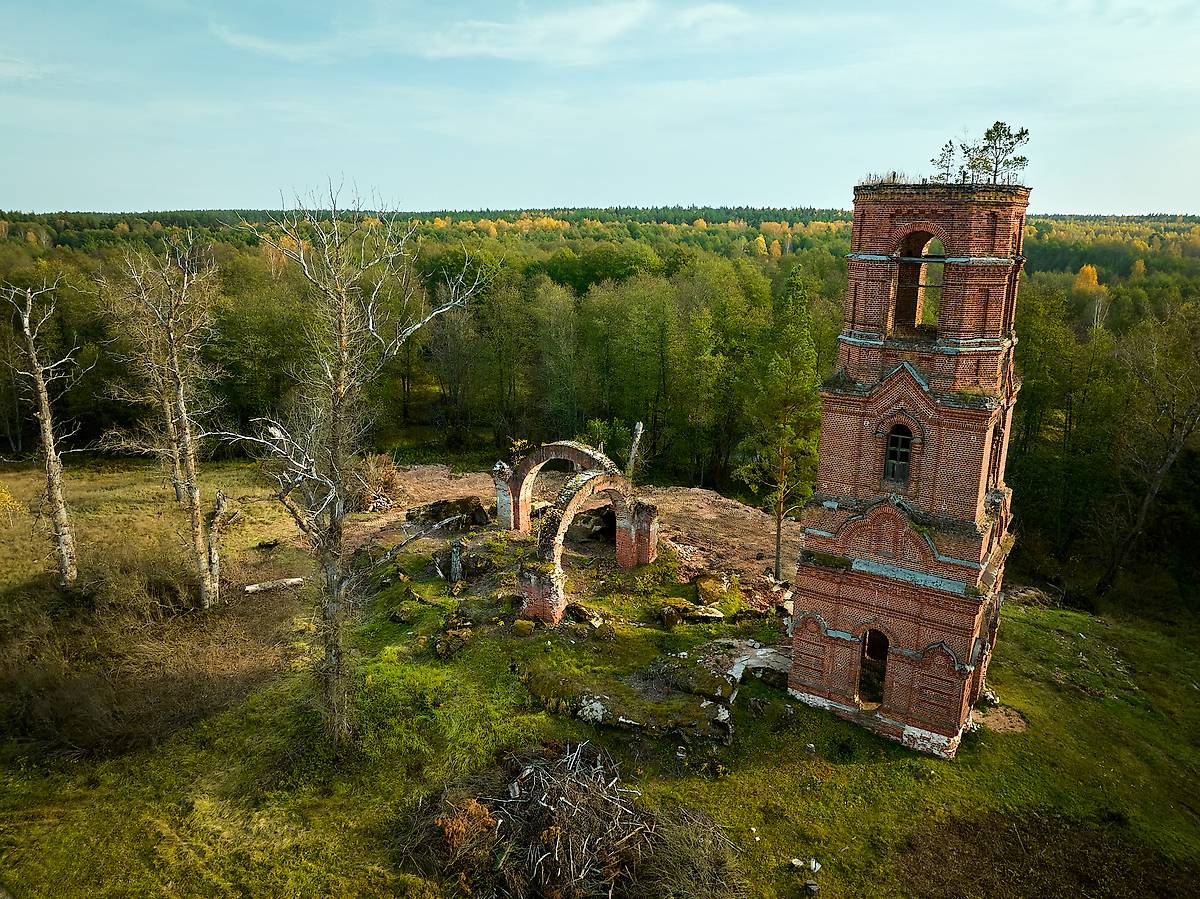 фасады. Церковь Параскевы Пятницы, Шеенки (Шеянки, Шеинки) (Клепиковский район, Рязанская область)