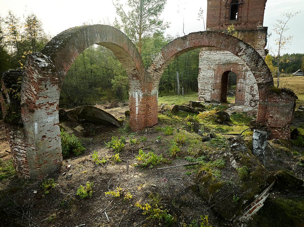 архитектурные детали. Церковь Параскевы Пятницы, Шеенки (Шеянки, Шеинки) (Клепиковский район, Рязанская область)