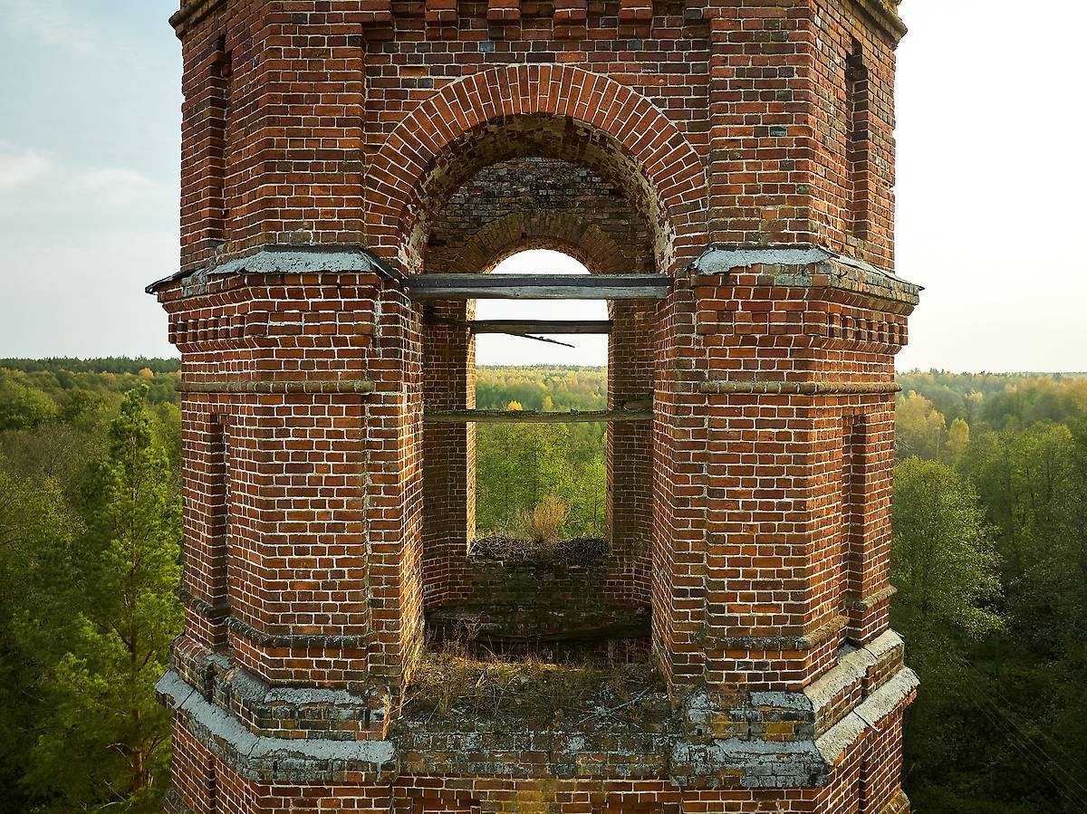 архитектурные детали. Церковь Параскевы Пятницы, Шеенки (Шеянки, Шеинки) (Клепиковский район, Рязанская область)