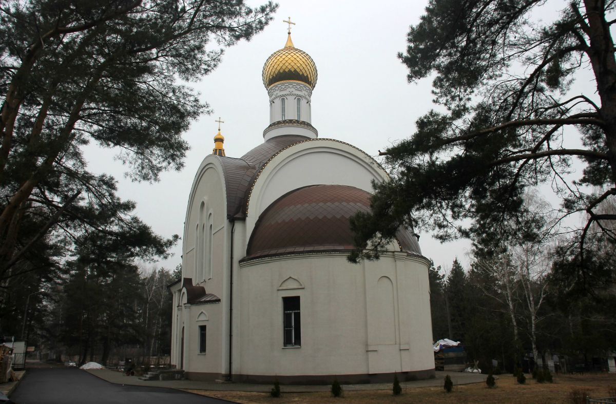 Воронеж. Церковь иконы Божией Матери 