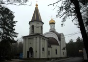 Церковь иконы Божией Матери "Всех скорбящих Радость" на Лесном кладбище, , Воронеж, Воронеж, город, Воронежская область