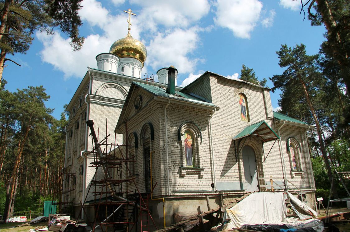 Церковь Антония (Смирницкого) в Тенистом, Тенистый (Воронеж, город, Воронежская область). фасады