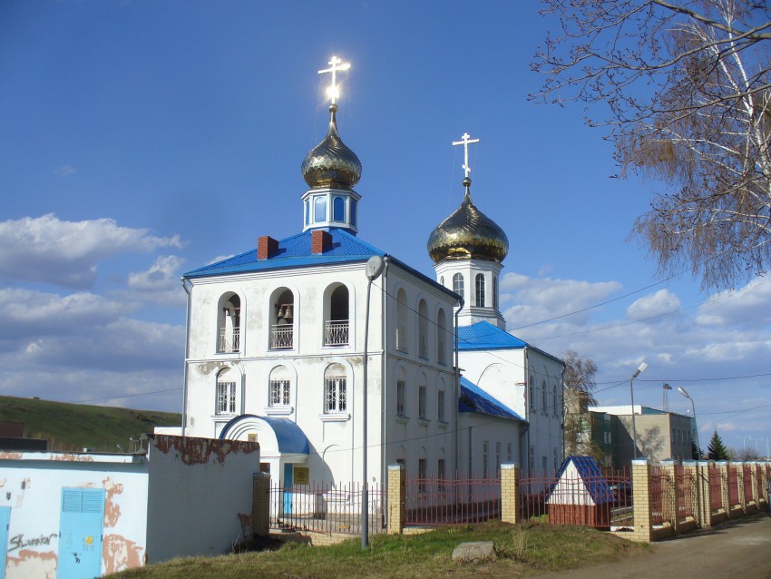 Церковь Космы и Дамиана, Камские Поляны (Нижнекамский район, Республика Татарстан). фасады