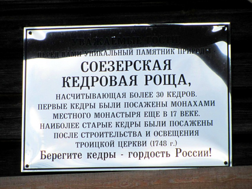 Церковь Троицы Живоначальной, Соезерская Пустынь (Верхнетоемский район, Архангельская область). дополнительная информация, табличка на восточной стене колокольни, посвященная уникальной Соезерской кедровой роще.