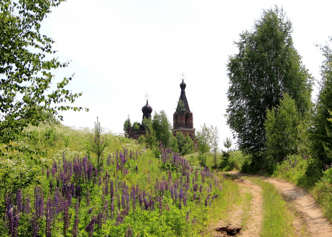 Церковь Петра и Павла, Елёво (Петропавловское), урочище (Белохолуницкий район, Кировская область). общий вид в ландшафте