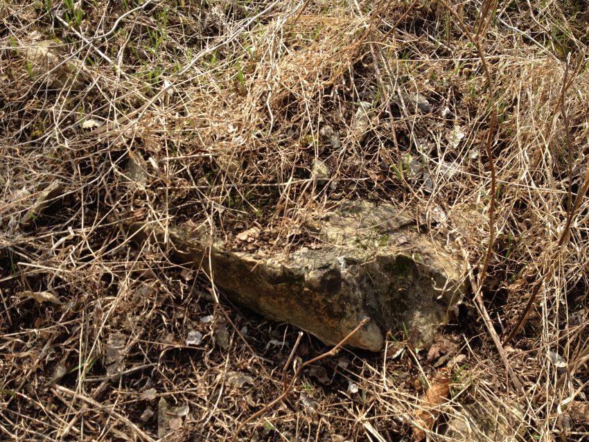 Церковь Покрова Пресвятой Богородицы, Дмитриевка (Бабынинский район, Калужская область). дополнительная информация