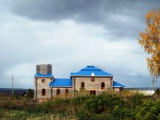 Церковь Рождества Пресвятой Богородицы - Булдырь - Чистопольский район - Республика Татарстан