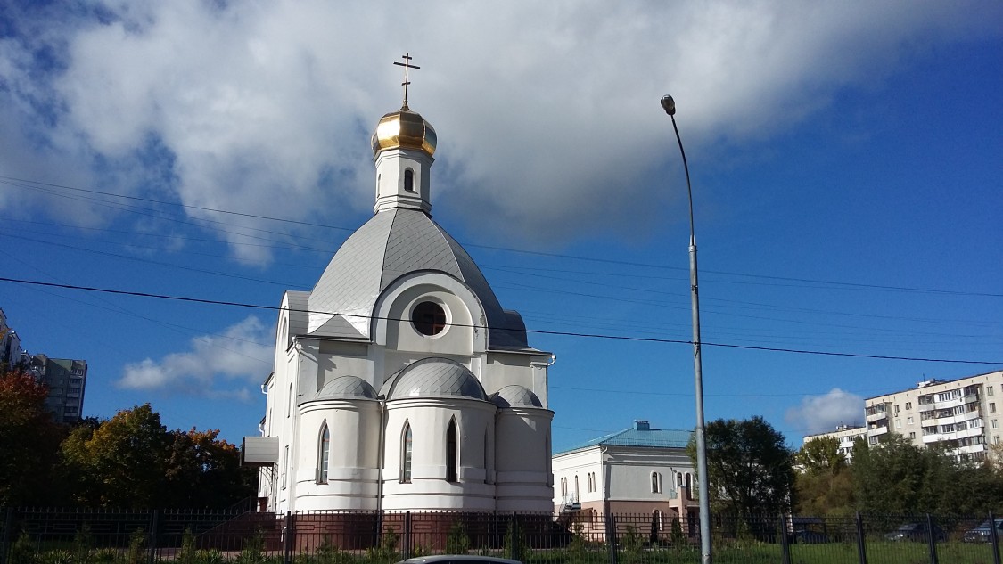 Церковь Входа Господня в Иерусалим в Бирюлёве, Бирюлёво Восточное (Южный административный округ (ЮАО), г. Москва). дополнительная информация