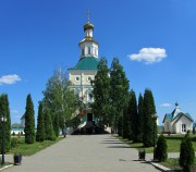 Иоанно-Богословский Макаровский мужской монастырь. Собор Иоанна Богослова, вид на собор от колокольни, справа надкладезная часовня<br>, Макаровка, Саранск, город, Республика Мордовия