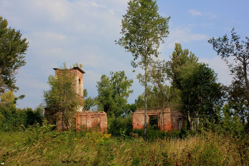 Погост Маги, урочище. Церковь Рождества Пресвятой Богородицы. фасады, Фото со стороны погоста