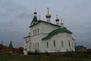 Церковь Рождества Христова - Кошки - Кошкинский район - Самарская область