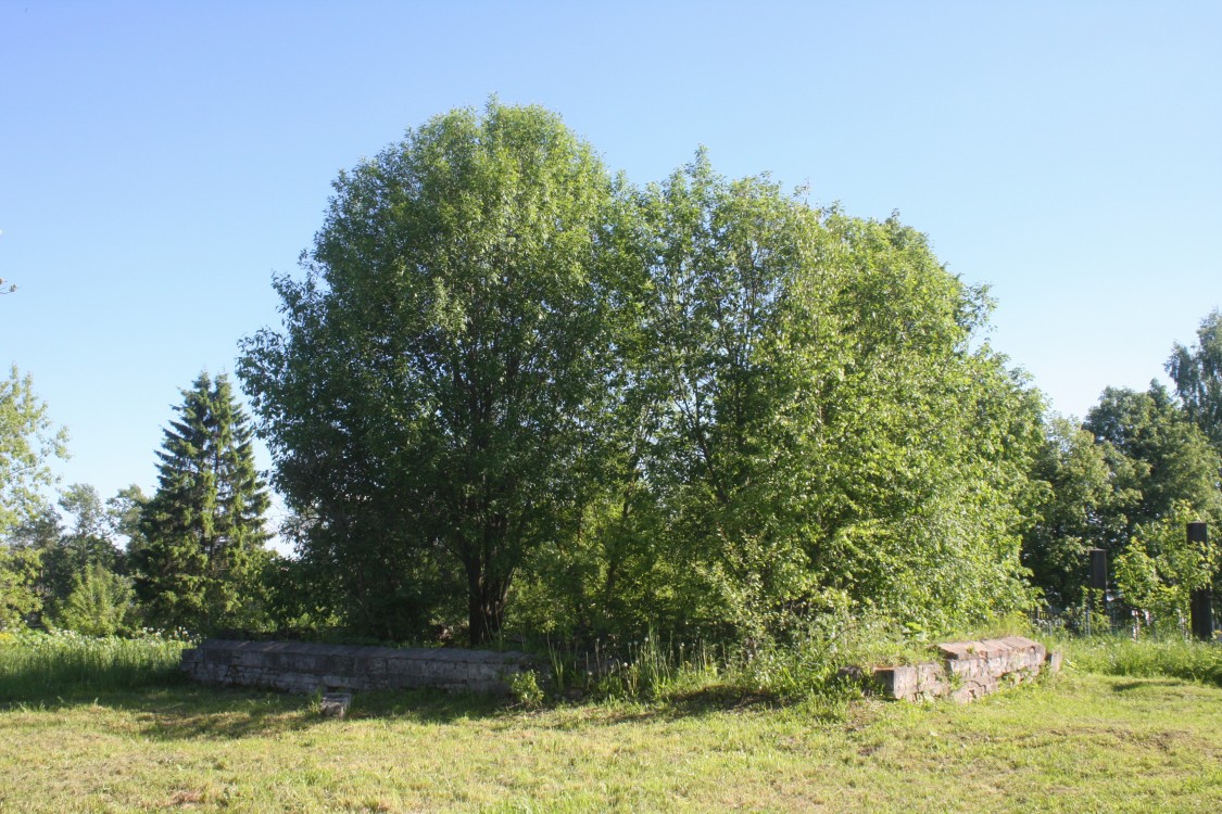 Церковь Иоакима и Анны, Кашин (Кашинский городской округ, Тверская область). дополнительная информация, Вид на церковное место с северо-запада.