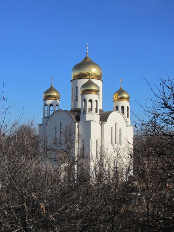 Церковь Введения во храм Пресвятой Богородицы в Вешняках, Вешняки (Восточный административный округ (ВАО), г. Москва). фасады
