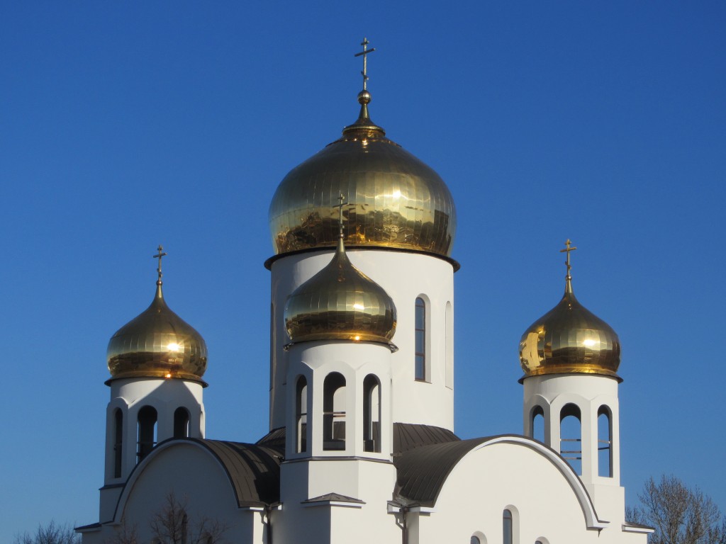 Церковь Введения во храм Пресвятой Богородицы в Вешняках, Вешняки (Восточный административный округ (ВАО), г. Москва). архитектурные детали