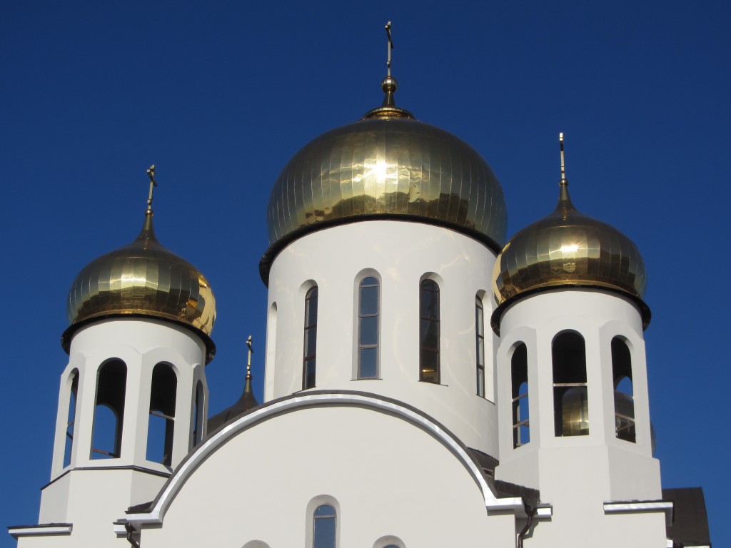 Вешняки. Церковь Введения во храм Пресвятой Богородицы в Вешняках. архитектурные детали