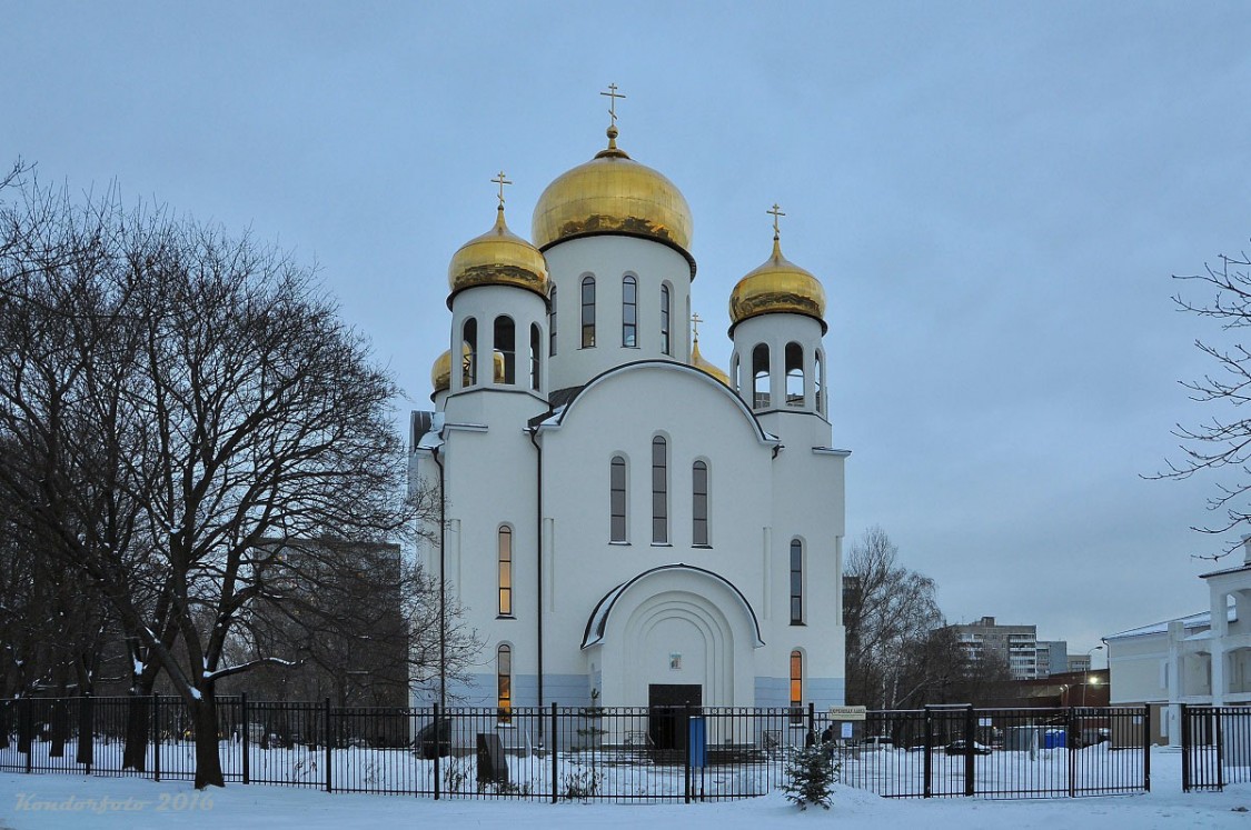 Вешняки. Церковь Введения во храм Пресвятой Богородицы в Вешняках. общий вид в ландшафте