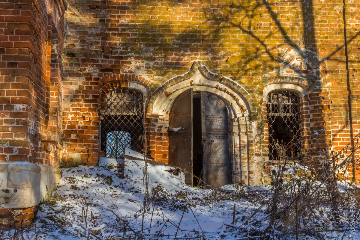 Церковь Троицы Живоначальной, Сныхово (Белёвский район, Тульская область). архитектурные детали, Вход храм со стононы южного фасада