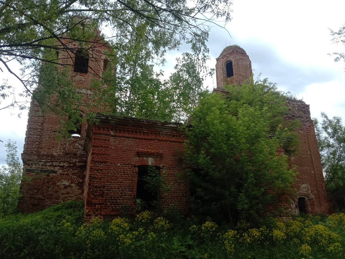 Церковь Троицы Живоначальной, Сныхово (Белёвский район, Тульская область). фасады