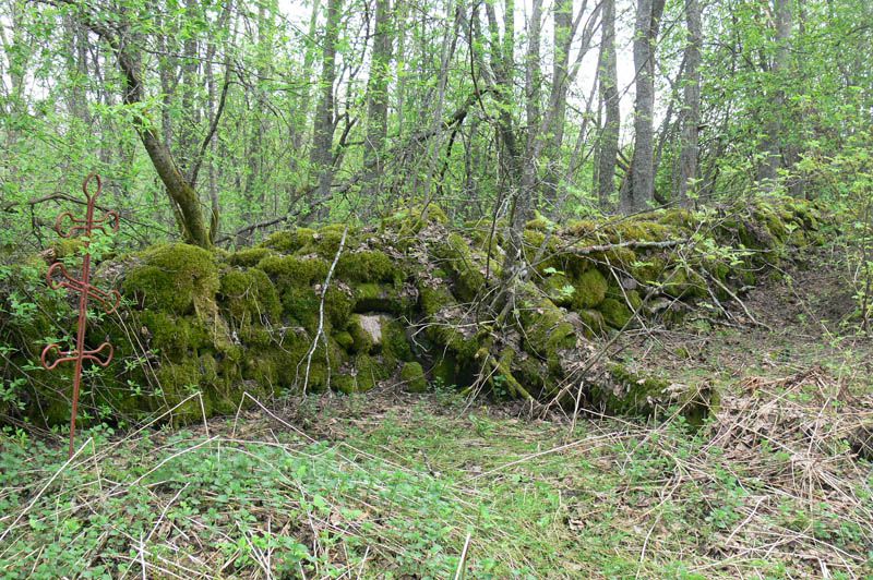 Церковь Георгия Победоносца, Каргиничи (Сергиевское), урочище (Подпорожский район, Ленинградская область). дополнительная информация, Валунная ограда