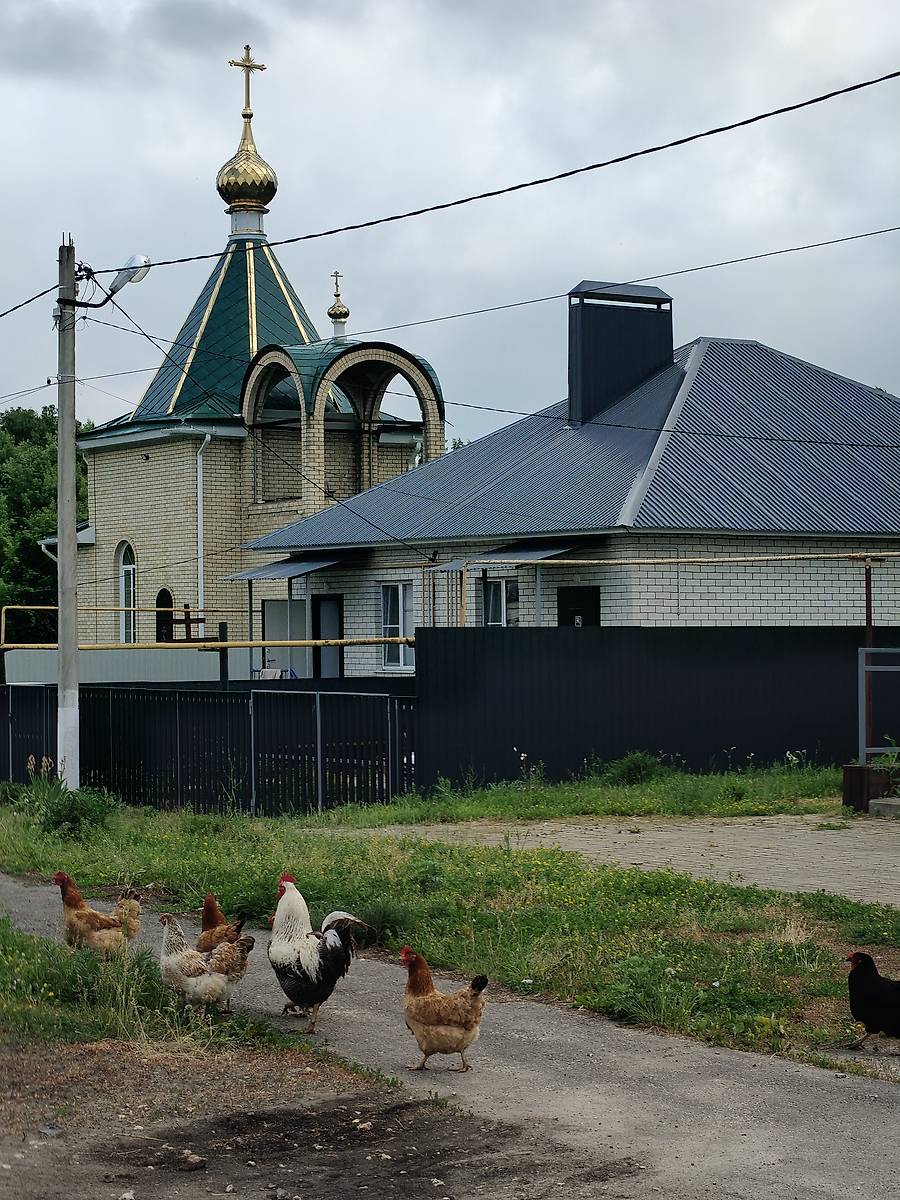 общий вид в ландшафте. Церковь Николая Чудотворца, Троекурово (Чаплыгинский район, Липецкая область)