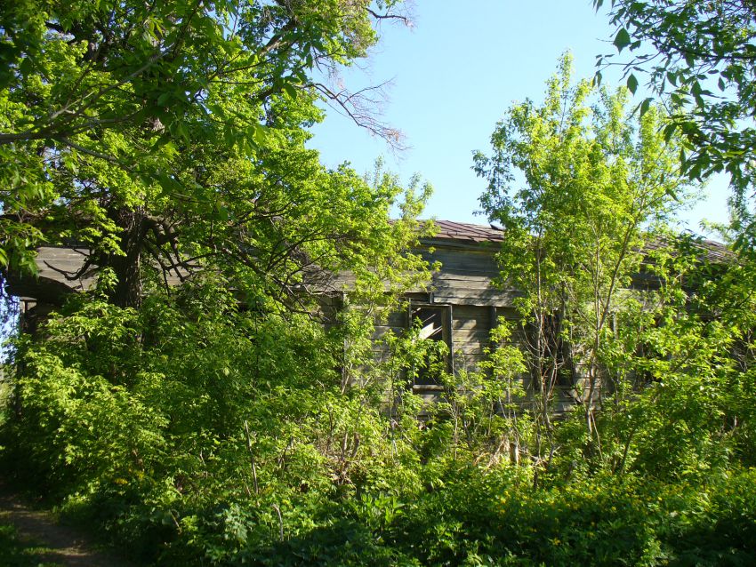 Церковь Богоявления Господня (старая), Антоновка (Камско-Устьинский район, Республика Татарстан). архитектурные детали