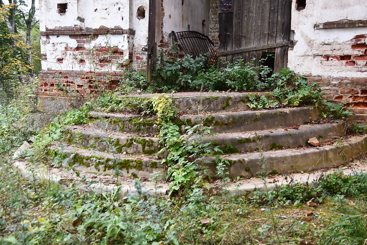 архитектурные детали. Церковь Покрова Пресвятой Богородицы, Курганы (Бежецкий район, Тверская область)