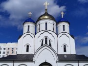 Южное Бутово. Введения во Храм Пресвятой Богородицы в Южном Бутове, церковь