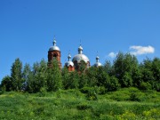 Церковь Казанской иконы Божией Матери - Маколово - Чамзинский район - Республика Мордовия