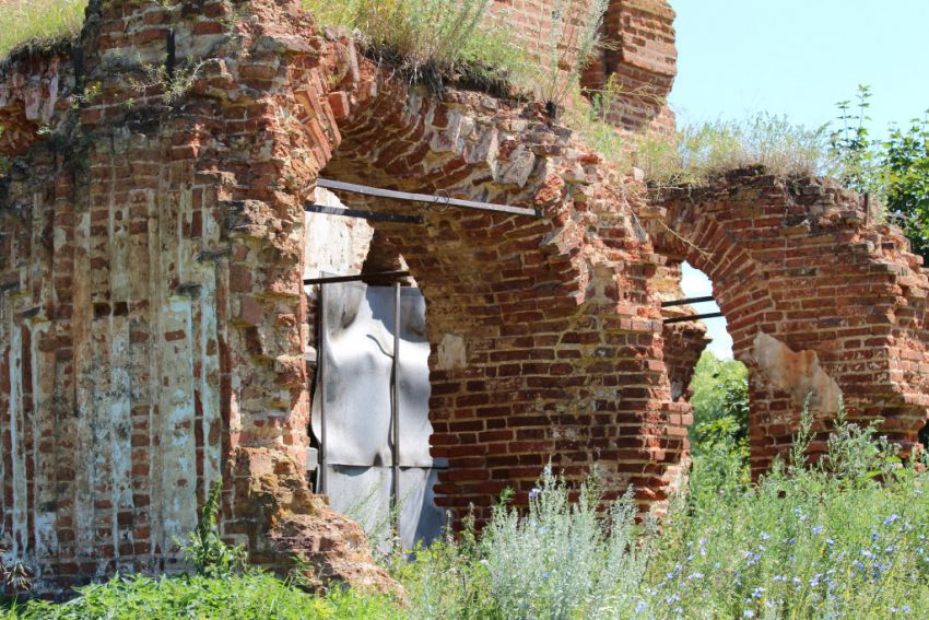 Липяги. Церковь Параскевы Пятницы. общий вид в ландшафте