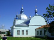 Церковь Рождества Христова, , Трескино (Колышлей Деревянный), Колышлейский район, Пензенская область