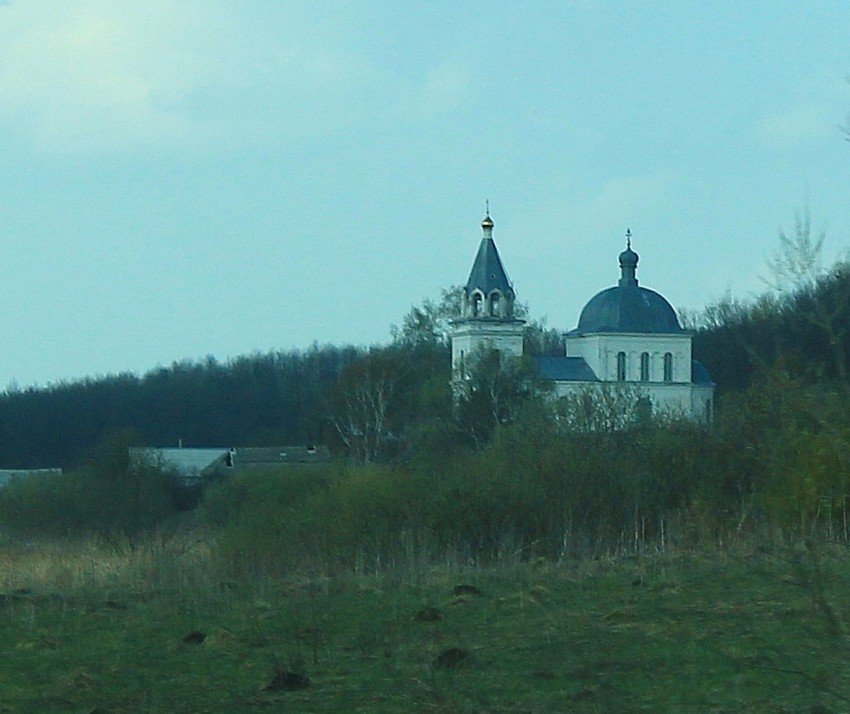 Церковь Николая Чудотворца, Сорлиней (Чамзинский район, Республика Мордовия). общий вид в ландшафте, Вид с трассы Саранск-Ульяновск