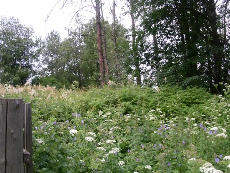 Церковь Успения Пресвятой Богородицы, Бобровка (Оленинский район, Тверская область). общий вид в ландшафте, место церкви