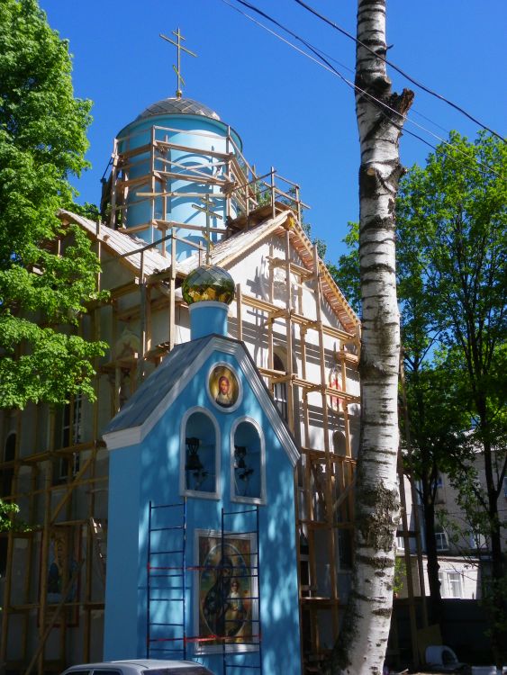 Церковь Рождества Пресвятой Богородицы при Центральной районной больнице, Всеволожск (Всеволожский район, Ленинградская область). документальные фотографии