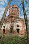 Церковь Космы и Дамиана, , Елизино, Мокшанский район, Пензенская область